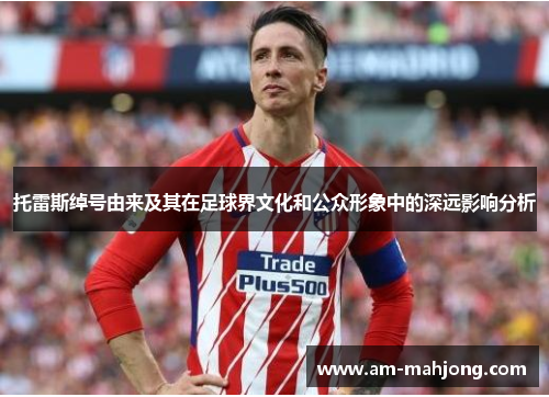 托雷斯绰号由来及其在足球界文化和公众形象中的深远影响分析 托雷斯绰号由来及其在足球界文化和公众形象中的深远影响分析