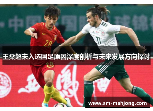 王燊超未入选国足原因深度剖析与未来发展方向探讨