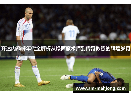 齐达内巅峰年代全解析从绿茵魔术师到传奇教练的辉煌岁月