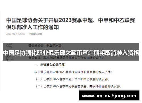 中国足协强化职业俱乐部欠薪审查逾期将取消准入资格 中国足协强化职业俱乐部欠薪审查逾期将取消准入资格