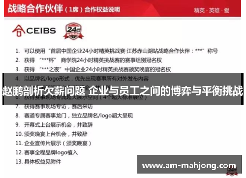 赵鹏剖析欠薪问题 企业与员工之间的博弈与平衡挑战 赵鹏剖析欠薪问题 企业与员工之间的博弈与平衡挑战